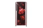 GL-B201ASCZ-Refrigerators-Front-View-D-01